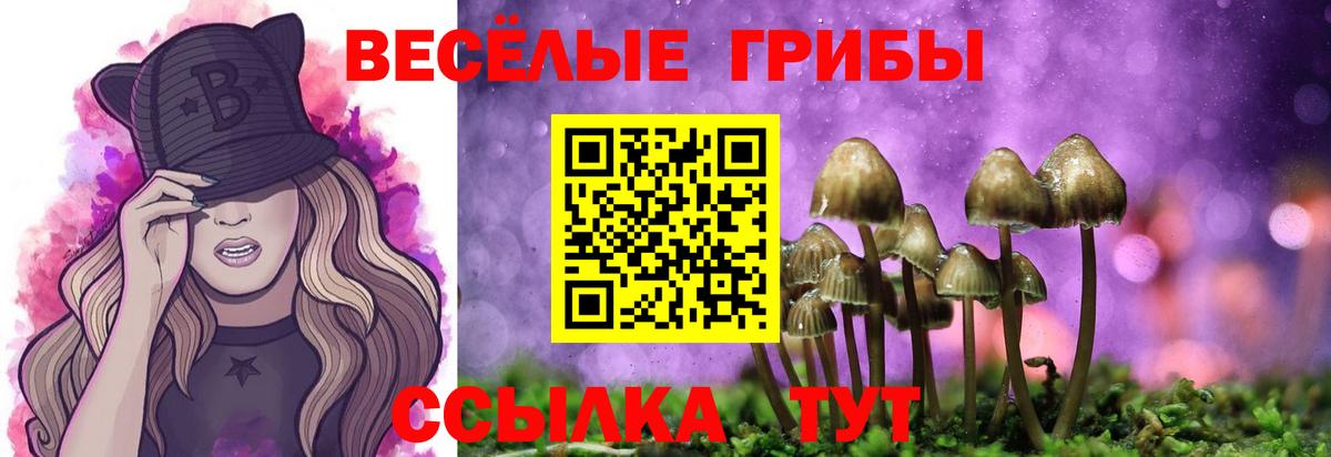 Полевской  Галлюциногенные грибы прущие грибы  Галлюциногенные грибы мицелий  Вход с VPN 